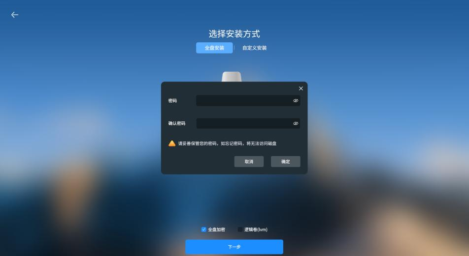 全盘安装选项