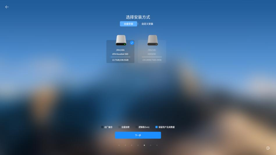 全盘安装选项示意